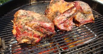 Chemicals resulting from vehicle exhaust, grilling meat found to be 400 times more mutagenic than known carcinogens