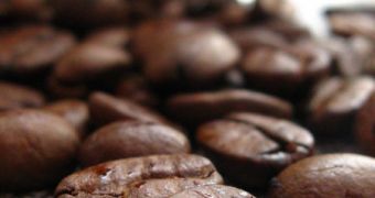 Coffee cuts into sleeping hours after it was ingested