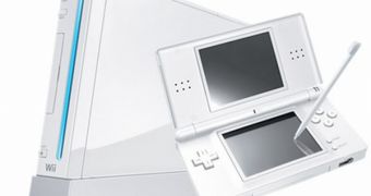 Nintendo DS Sells over 100 Million Units, Wii Price Rises