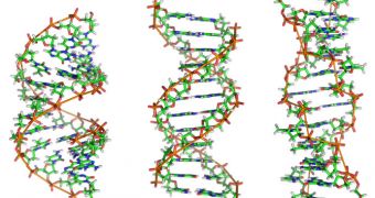 DNA is the common denominator of all life in the Universe