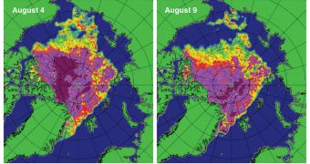 Sea ice extent differences between August 4 and August 9