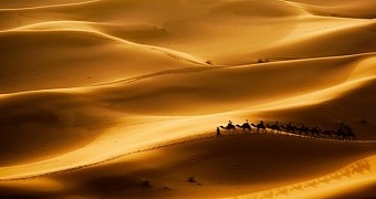 It is possible that the Sahara desert formed 7 million years ago, researchers say
