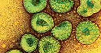 WHO warns the new coronavirus might spread from one person to another