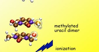 Because methyl groups discourage hydrogen bonding, methylated uracil should be incapable of proton transfer. But after ionization of methylated uracil dimers, a proton moves by a different route