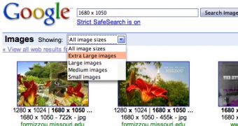 Google Extra Large Image Search