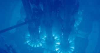 Image of a nuclear reactor core