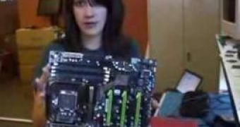 Nvidia NForce 790i Ultra SLI motherboard