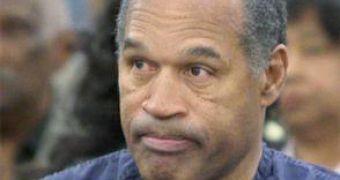 O.J. Simpson Owes $320,000 (€251,216) in Back Taxes