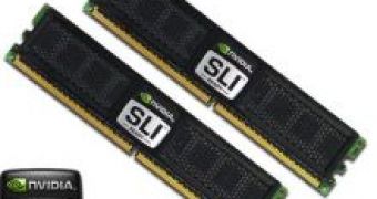 OCZ Introduces New Memory Sticks for SLI Use