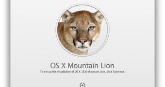 OS X Mountain Lion installation dialog