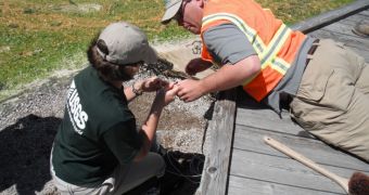 Photo showing USGS scientists installing sensors in Yellowstone Park
