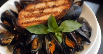 Ocean Acidification Argued to Affect the Development of Shellfish