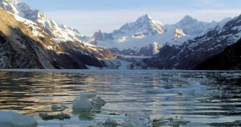 Researchers warn that ocean acidification is a threat to fisheries and human communities in Alaska