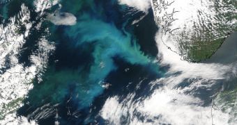 Satellite image showing a phytoplankton bloom in the Northern Sea
