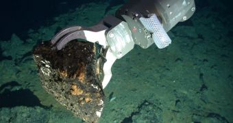 Samples from the ocean floor helped researchers compile the new study
