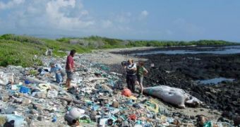 Garbage washed ashore