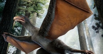 Odd Dinosaur Was the Size of a Pigeon, Had Bat-like Wings