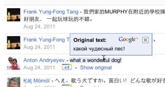 Google Translate for Google+ in Google Chrome