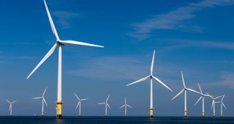 Researchers claim offshore wind farms might help tame hurricanes
