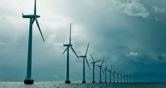 Scientists document the effects of offshore wind farms on marine mammals