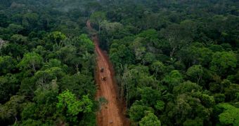 Oil company promises not to build access road in the Yasuni National Park, does it anyway