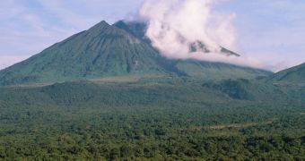 EU reps urge that Virunga National Park be protected, not exploited