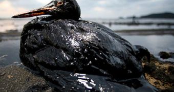Part of the Mississippi River is now closed to maritime traffic, an oil spill is the one to blame