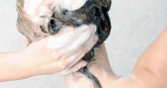 Some old wives’ tales hair treatments do work, report says