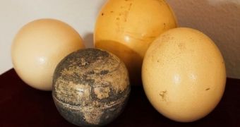 Researchers say the oldest depiction of the New Worl is probably one carved on ostrich eggshells