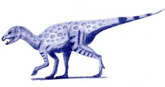 This small dinosaur may have been the missing link between carnivors and herbivors