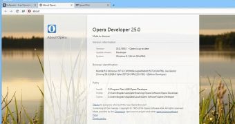 Opera 25 dev comes with web notifications