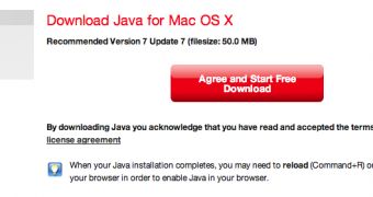 Java update for Mac (screenshot)
