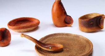 Eco-friendly cups and plates made from molded orange peel