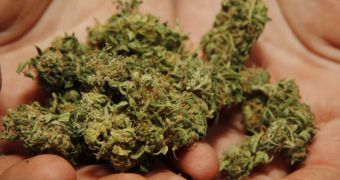 Man called emergency services to ask where he could buy marijuana