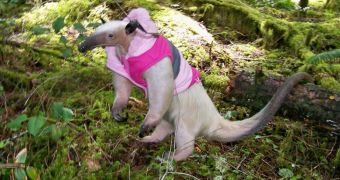 Angela Goodwin dresses her anteaters in children clothes