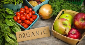 Study finds organic food is more nutritious than conventional produce is