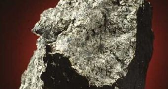 The Allan Hills 84001 meteorite