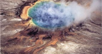 Life forms with similar characteristics to those of prokaryotes live inside hydrothermal springs in Yellowstone National Park