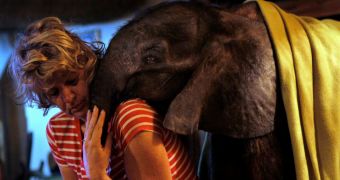 Orphaned baby elephant named Moses is raised by human mother