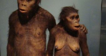 This is how Laetoli hominins may have looked like