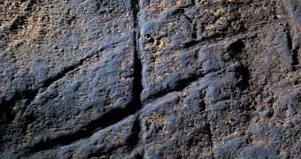 Engravings found in Gibraltar believed to be Neanderthal cave art