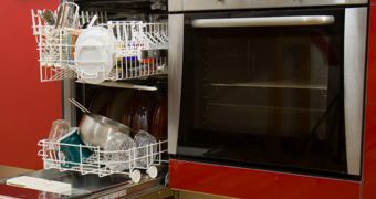 Researchers find dishwashers are not as clean as people think they are