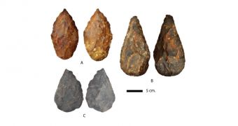 Early Stone Age hand axes unearthed in South Africa: A–B. Banded Ironstone. C. Quartzite