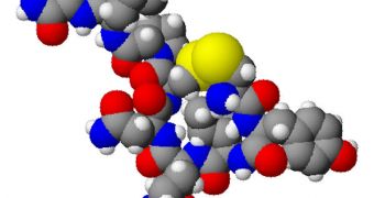 The 3D structure of oxytocin