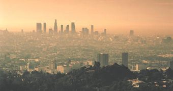 The smog of the cities contains large amounts of ozone