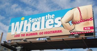 The “Save the Whales” PETA billboard that got the media up in arms