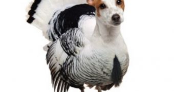 PETA asks, “if  you wouldn't eat your dog, why eat a turkey?”