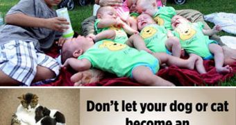 Nadya Suleman and the octuplets for PETA
