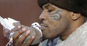Mike Tyson is preparing for pigeon reality show on Animal Planet, PETA is none too happy about it