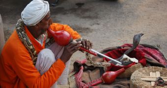 Snake charmers are accused by PETA of animal cruelty
